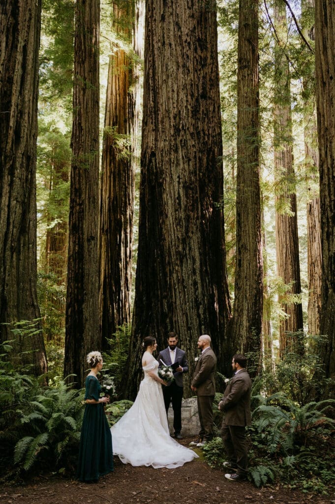 Breath-taking Redwoods Elopement