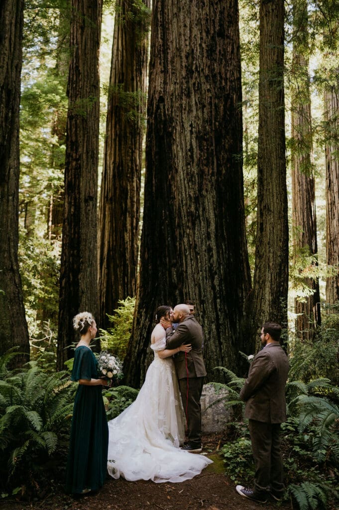 Redwood National Park Elopement