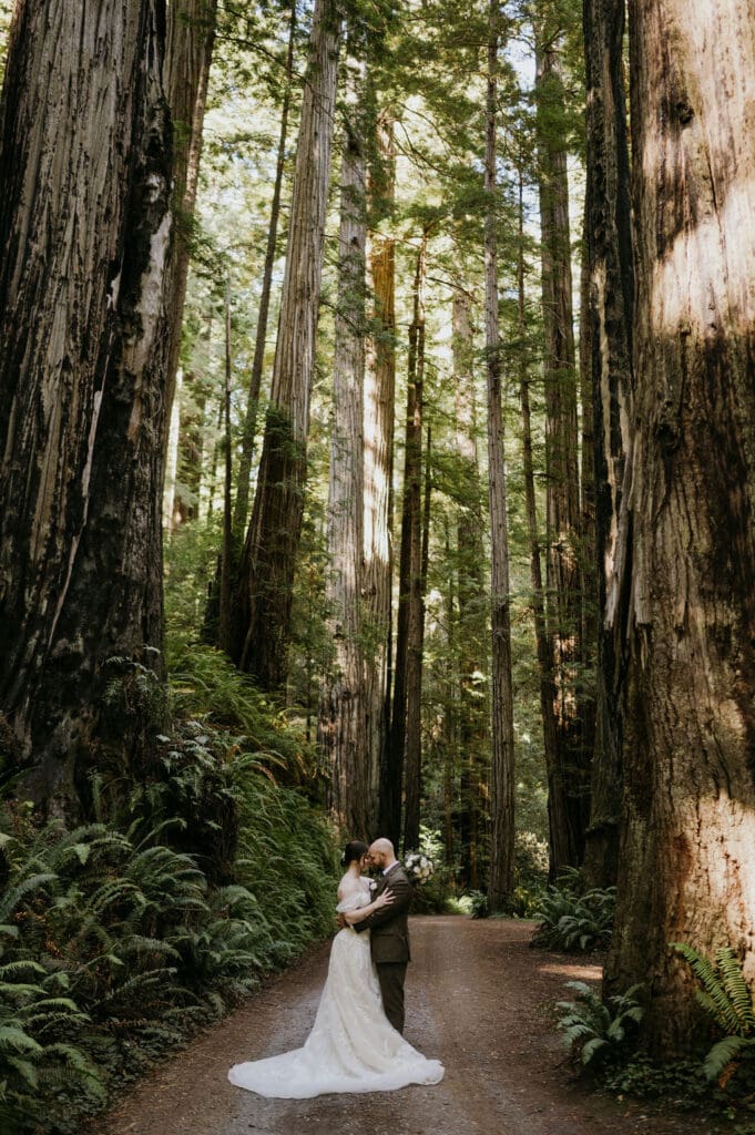 Redwood National Park Bridal Portraits 