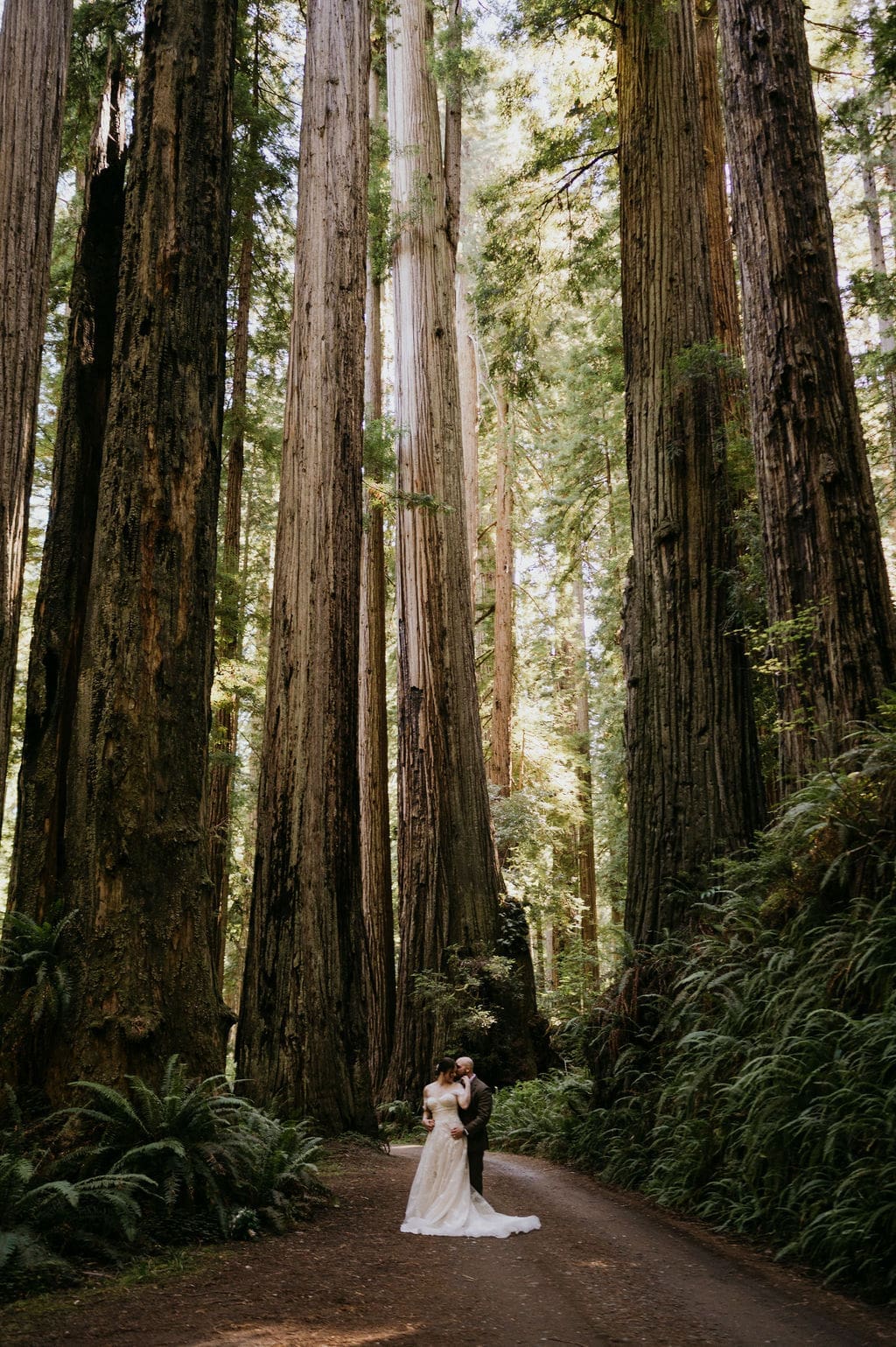 Breath-taking Redwoods Elopement
