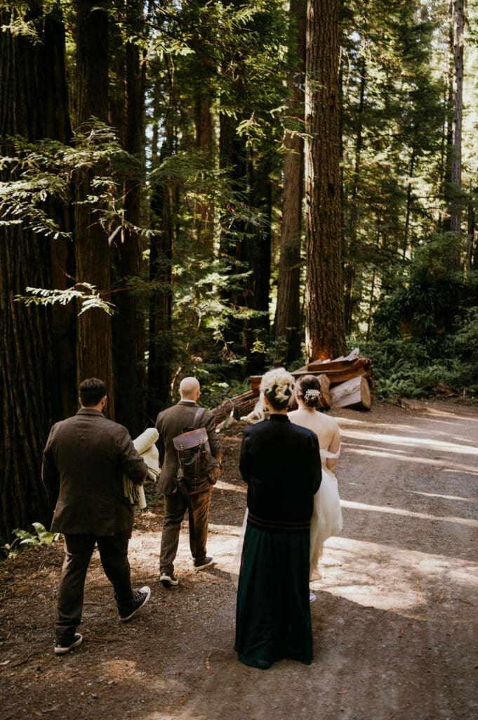 Couple hiking to elopement location inside redwood national park