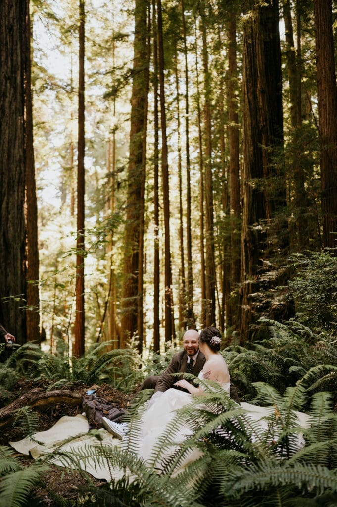 redwoods elopement day 